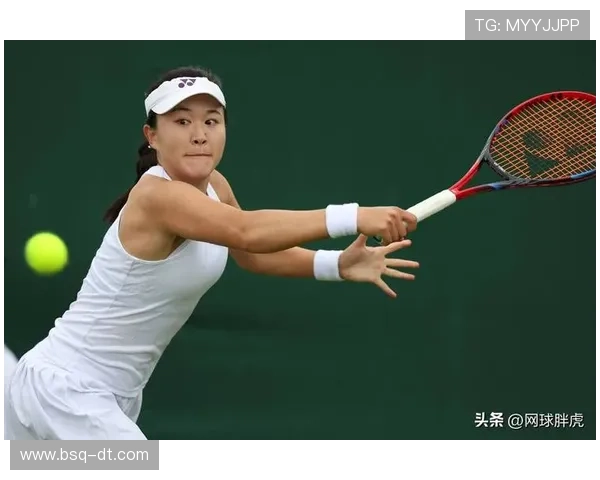 网球赛场风云再起 新星崛起老将争冠谁将问鼎国际大满贯荣耀